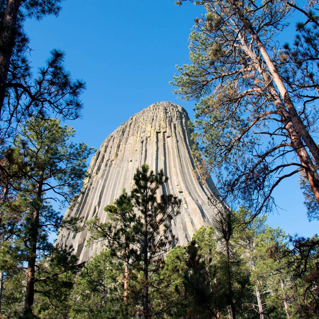Morning at Devil's Tower from last summer's road trip.