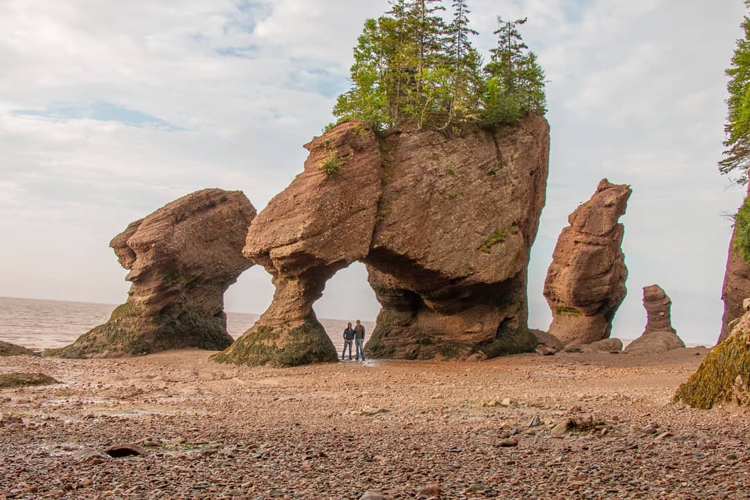 Up early this morning to catch low tide at the Hopewell Rocks