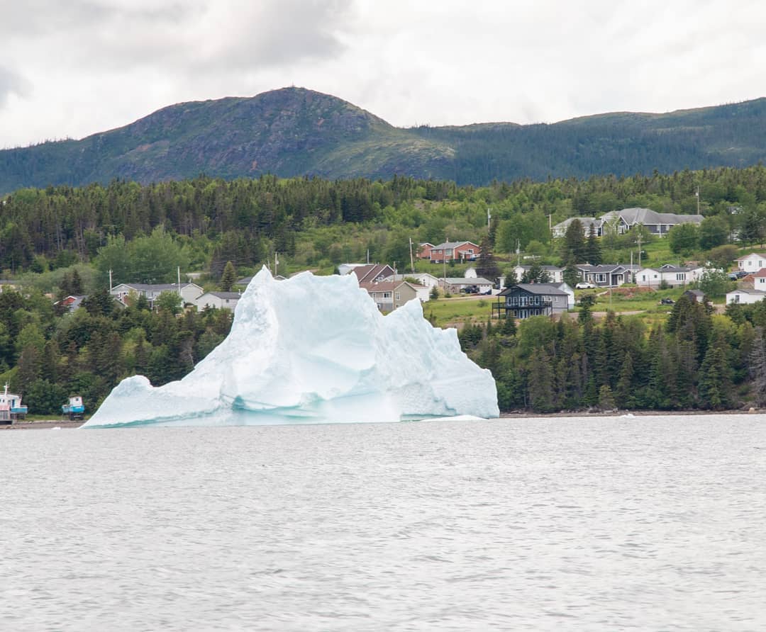 We found a few icebergs yesterday. Largest one had to be over 40ft tall above the water.