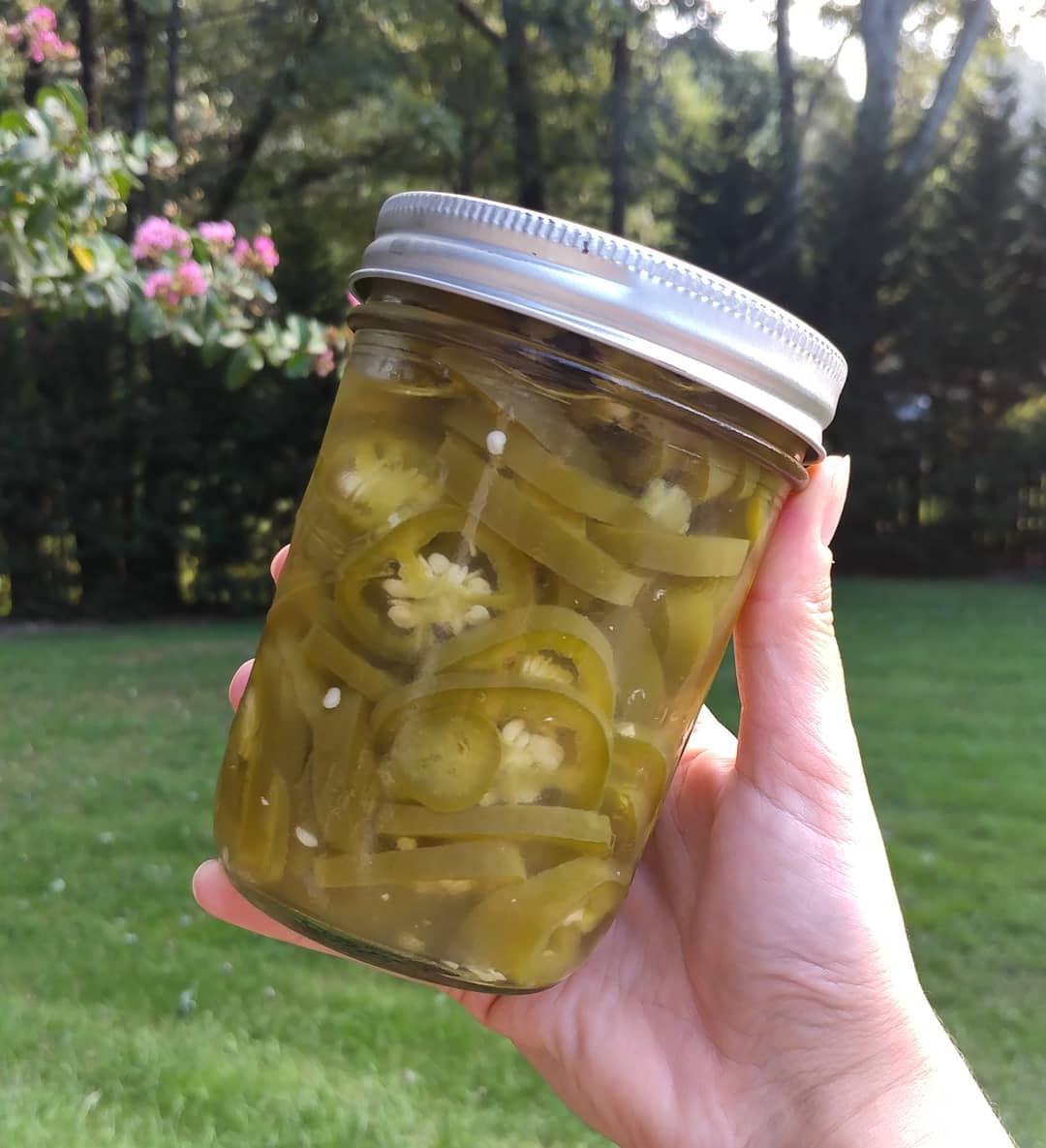 Pickled Coolapeños! I don't like hot peppers so when I saw the seedlings I knew they were for me! Then I had a pile on the counter and knew I needed a recipe. These are just a quick pickle with vinegar, sugar and salt. Easy to make and the result is crunchy and tangy but not hot. Winner!