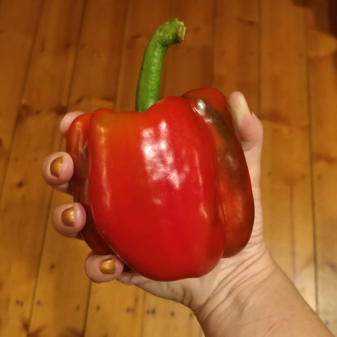 Pretty proud of my pepper!