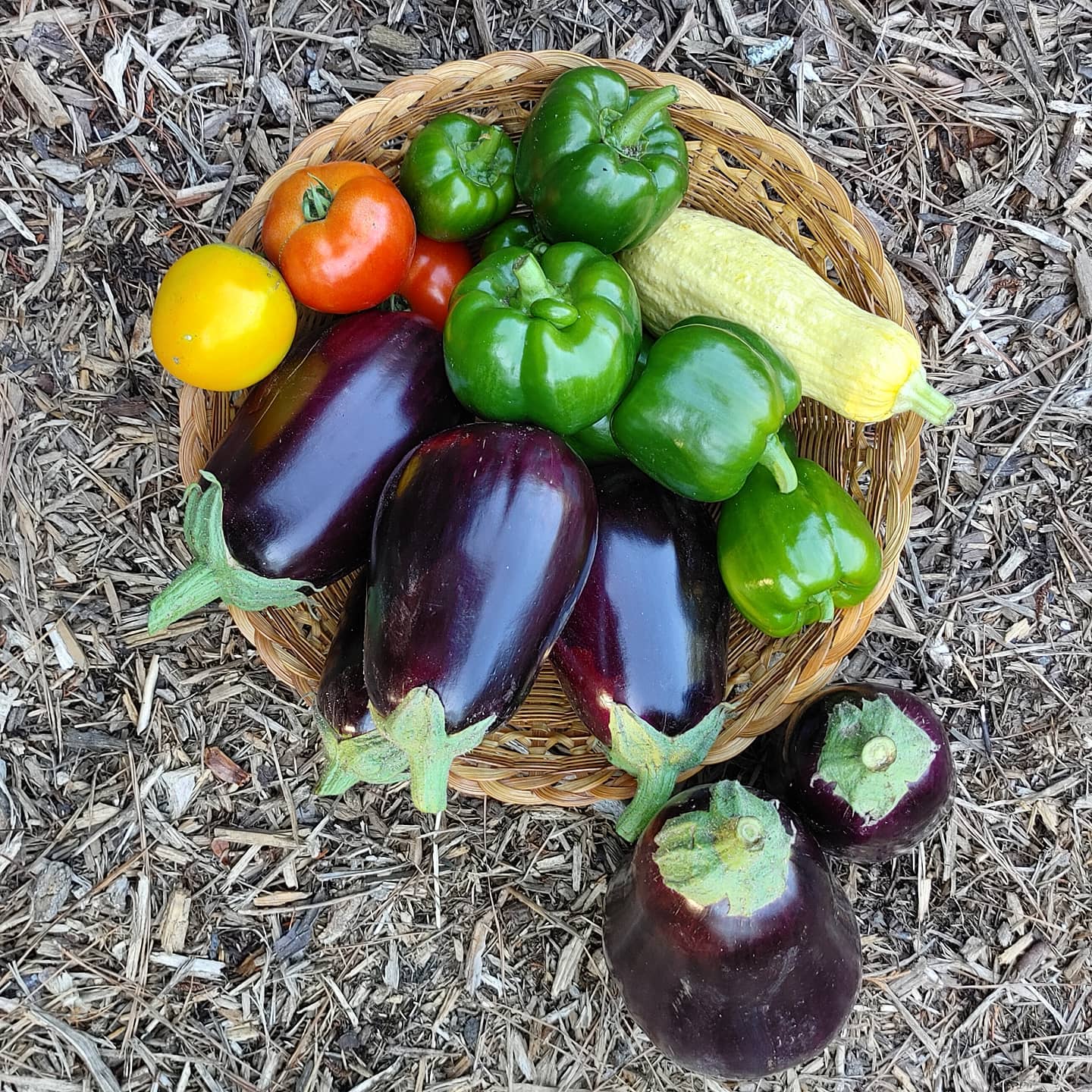 Harvest! I'm going to need some new eggplant recipes.